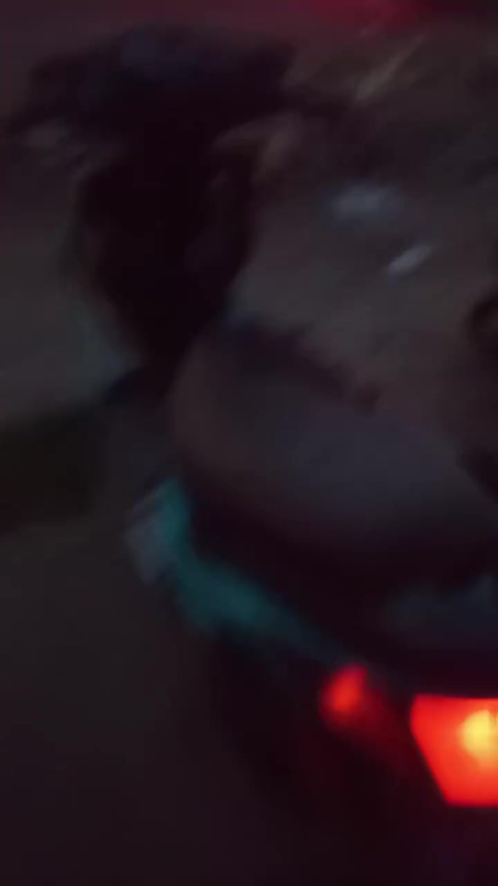 سكنس فحل • كابريتر • بوشه ٥٨