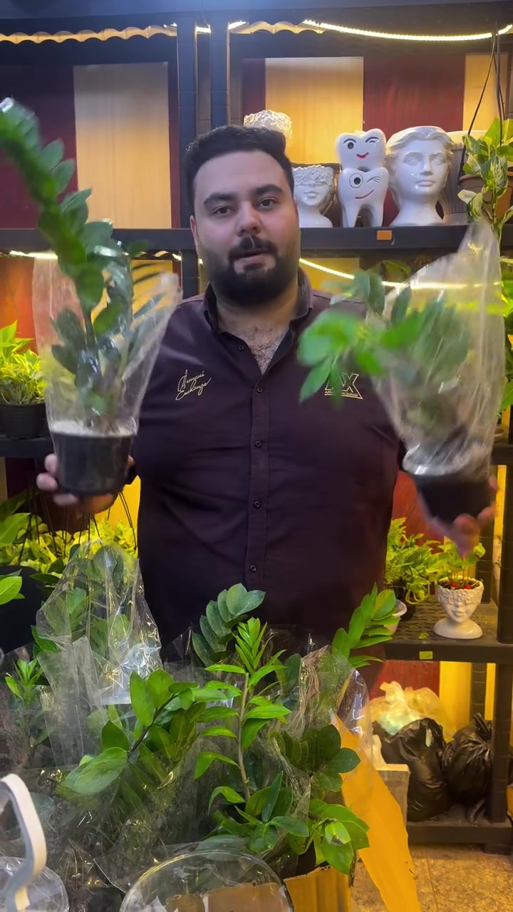 عرض خاص لايفوتكم
القطعه ب٥ 
كل قطعتين ب١٠ والثالثه هديه  
كل ٣ قطع ب١٠
عنواني بابل مسيب شارع الاول 
توصيل محافظات ٥٠٠٠
***********
#اكسبلور_فولو #العراق_السعودية_قطر_الامارات_الكويت_البحرين_اليمن_الخليج_سوريا_مصر_لبنان_الجزائر_تونس_المغرب_قطر_دبي #بابل #مسابقه #معلومه
