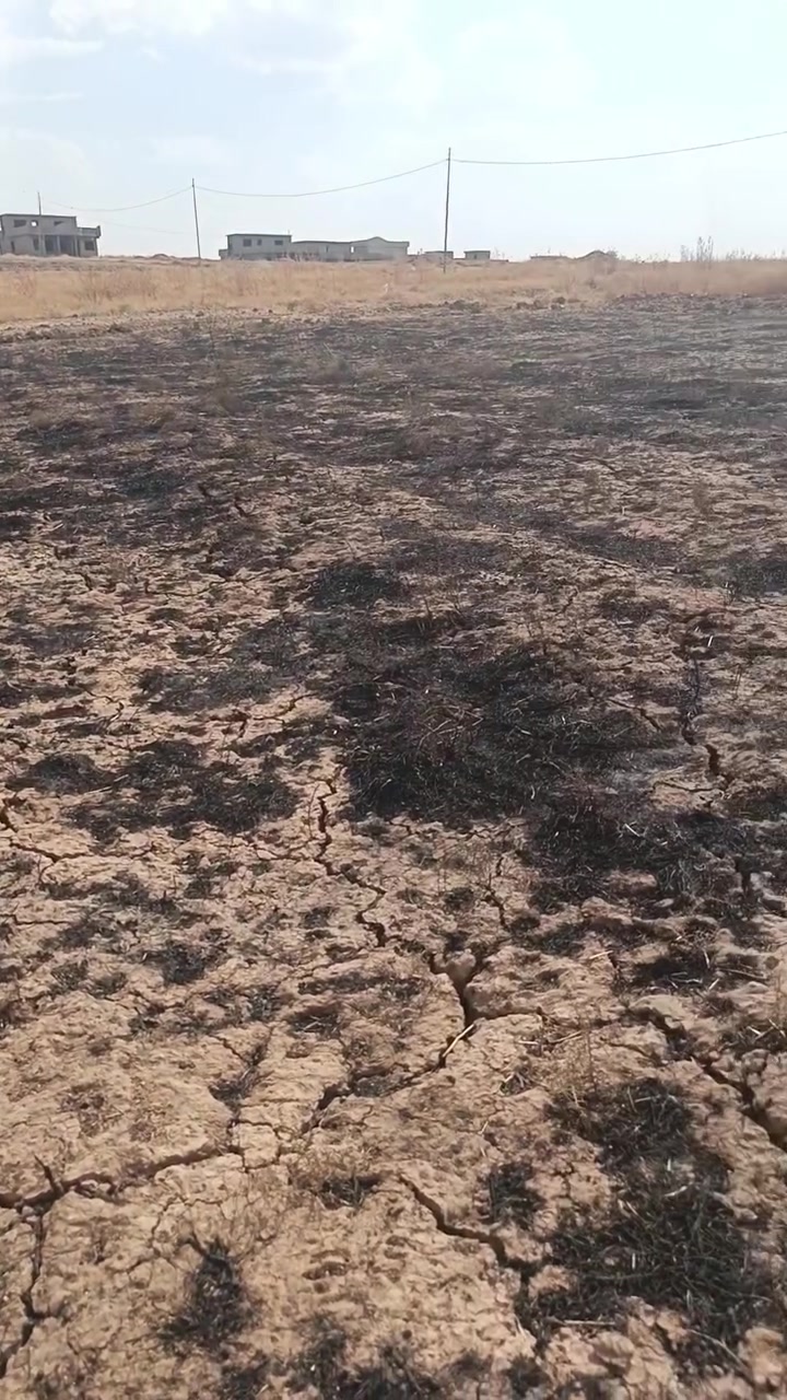 كاع ميتين متر عمق 20 عرض 10 سند 25مقابيل سوك القنم بحليله سعر الكاع 12 بيها مجال مكفوله من كلشي حكومه عشاير بلديه مكتبه مع صاحبها الشرعي الحاب توصل على هذا الرقم ***********
