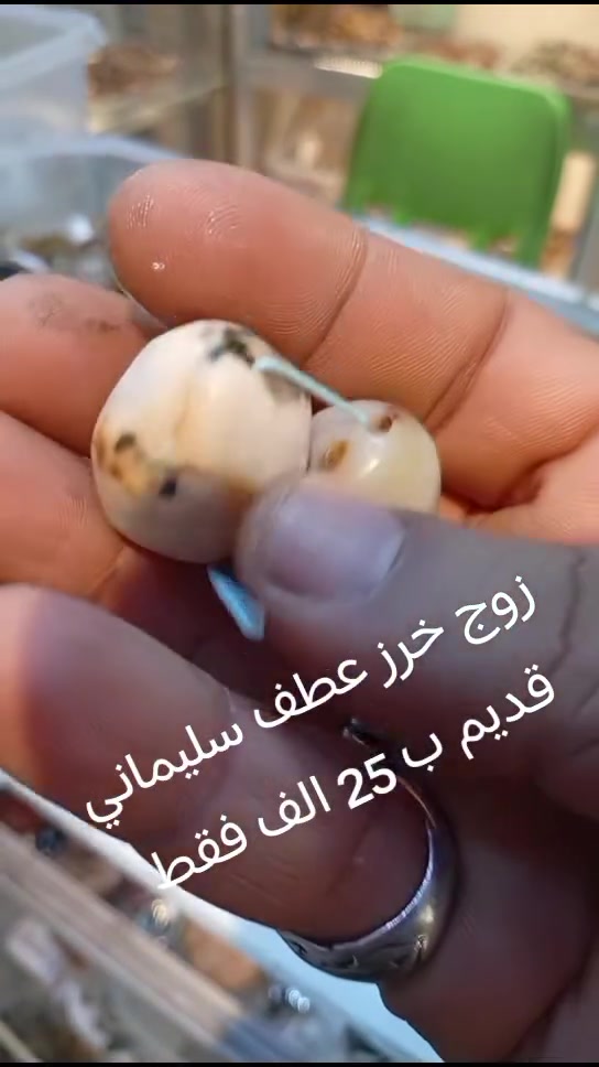 ارخص الخواتم والأحجار والمداليات اسعار مناسبه بصره القديمه سوق العقيل شارع أهل الجام قاهر الاسعار ابو حسين المحمداوي ***********

