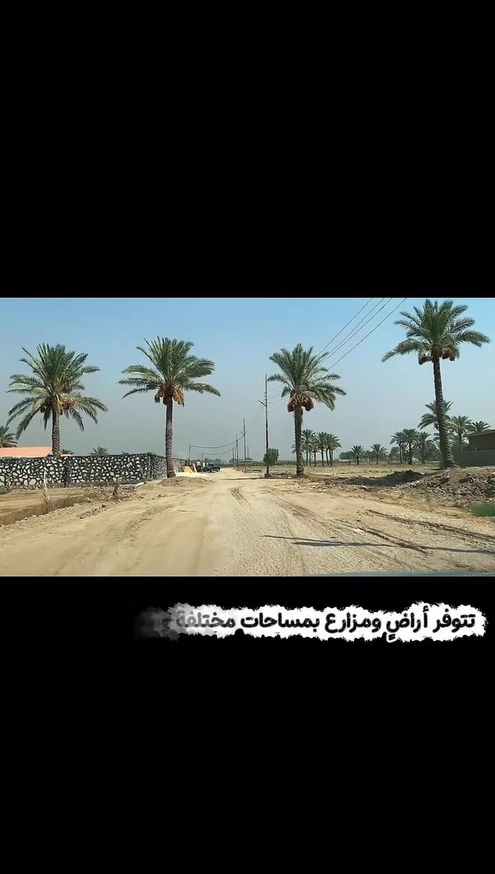 فرصة استثمارية مميزة - أراضي ومزارع للبيع في أبو غريب
تتوفر أراضٍ ومزارع بمساحات مختلفة وموقع مميز للبيع:
 الموقع: بغداد - أبو غريب (قرب جامع الرقيب).
 المساحات المتاحة:
 800 متر مربع
 نصف دونم (1,250 متر مربع)
 دونم كامل (2,500 متر مربع)
 المميزات:
 موقع ممتاز وقريب من الخدمات والمساجد والمدارس
 أرض مستوية تحتوي على أشجار نخيل ومناسبة للبناء أو الاستثمار الزراعي/التجاري.
 متوفرة كافة الخدمات (كهرباء وطرق واصلة).
للتواصل والاستفسار:
‭***********‬
