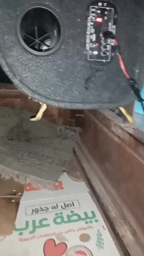 للموارس فقط بدمام المربعه   رقمي ***********
