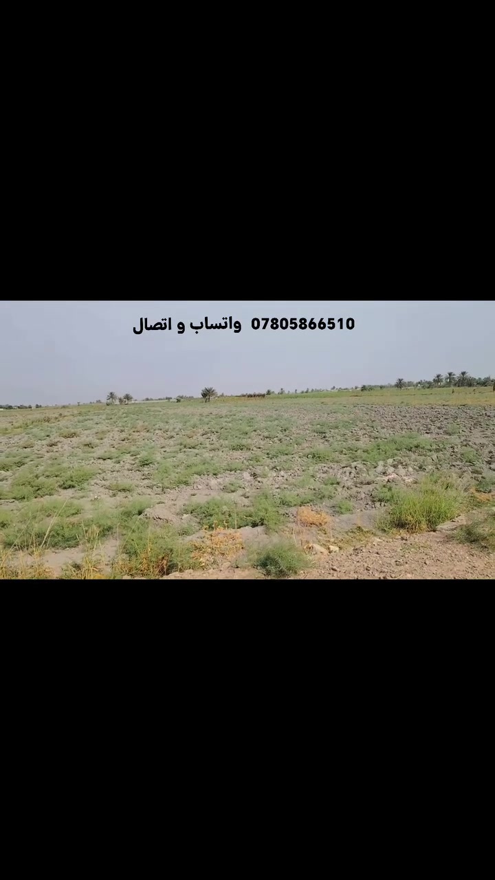 النزال • أرض • ١٥٠