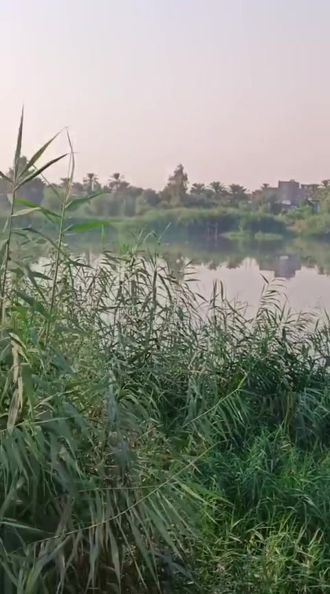 أرض دونمين و 500 متر شاطئية على نهر دجلة الصويرة جوميسة الغربية عقد 117 تبعد عن جسر الصويرة 800 متر تقريباً تفاصيل أكثر اتصل وتدلل ***********
