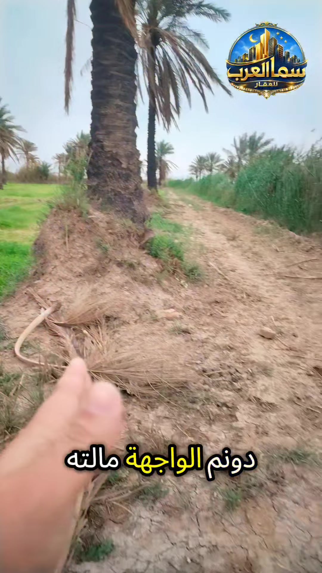 دونم • طابو زراعي • الدورة عرب جبور