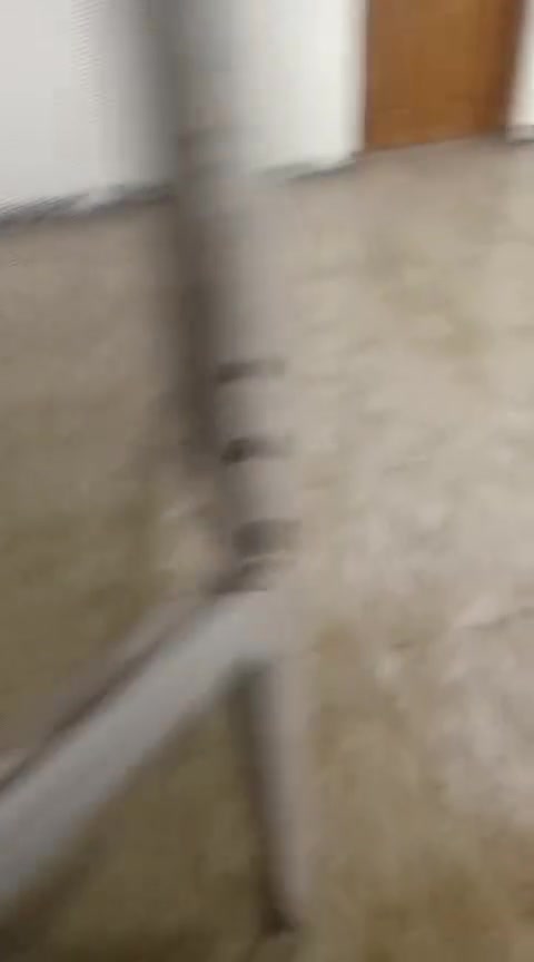 السلام عليكم من رخصة الادمن 
      بيت للايجار  طابق ثاني ‏‪***********‬‏
بيت للايجار دوانم المعمل  طابق ثاني شارع المسبح قرب جامع المحمود  مقابيل  بيت الشيخ عبدالرحمن الوحيد شارع تبليط ومعزول بدرج خارجي
