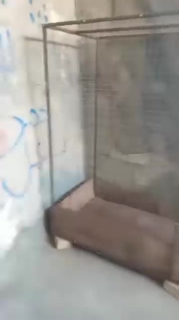 قفص • للبيع • مجال رقمي