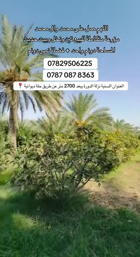 🌴 عرض استثماري مميز | بستان مع منزل حديث للبيع 🌴
فرصة متكاملة لمن يبحث عن الراحة والسكن الراقي مع أرض زراعية مثمرة وموقع متميز وقريب من جميع الخدمات.
تفاصيل العقار:
 المساحة: دونم كامل + فضلة إضافية بمساحة نصف دونم.
 المنزل: بناء حديث (صب كونكريت)، بتصميم مرتب وعصري يتكون من طابقين:
 4 غرف نوم
 صالتين (طابق أرضي وطابق ثاني)
 مطبخ واسع
 استقبال
 مجموعات صحيات داخلية وخارجية (متوفرة في الطابقين)
 حديقة أمامية مرتبة وكراج سيارات
مواصفات البستان والأرض:
 الأشجار: بستان خلف البيت يحتوي على نخيل وتين (جميع الأشجار مثمرة).
 المياه: بئر ماء حلو + ماء إسالة متوفر.
 الكهرباء: متوفرة بالكامل.
 الطريق: طريق تبليط مباشر يصل إلى البستان.
 الخدمات: بالقرب من مدرسة وخدمات عامة.
الموقع والمسافة:
 العنوان: الديوانية - ناحية السنية - نزلة الدورة.
 المسافة: يبعد عن طريق (حلة - ديوانية) مسافة 2700 متر فقط (حوالي 5 دقائق بالسيارة).
📞 للتواصل والاستفسار:
‏***********
***********
