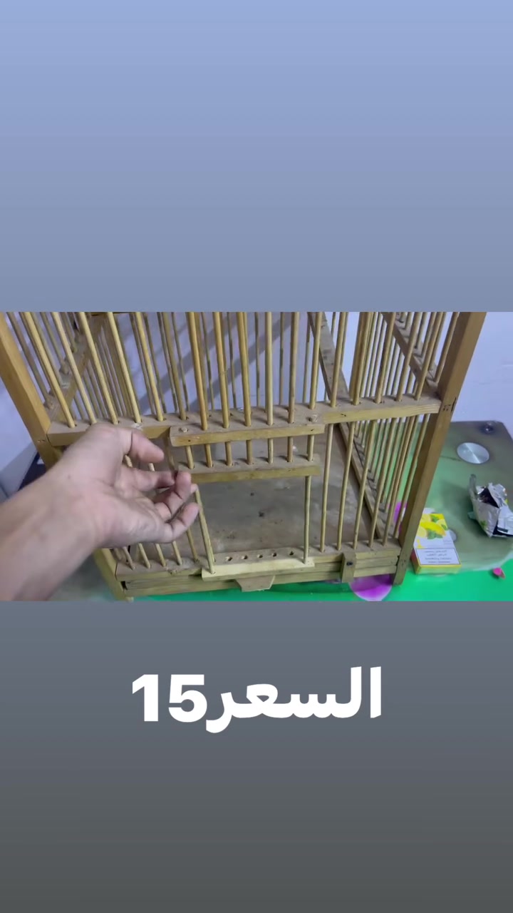 مرخصت ادمن الكروب اقفاص بلابل لبيع تواصل ***********ب واتساب

