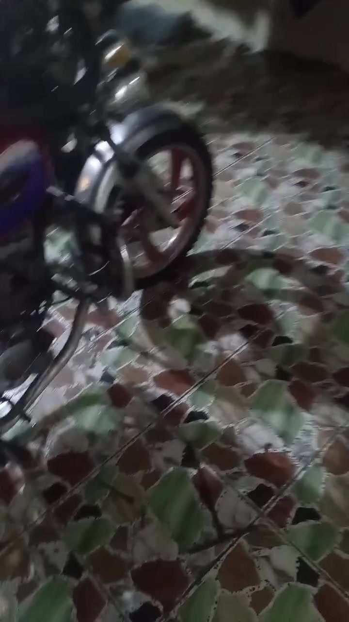 جونده • ٢٠١٤ • أوراق اصولي
