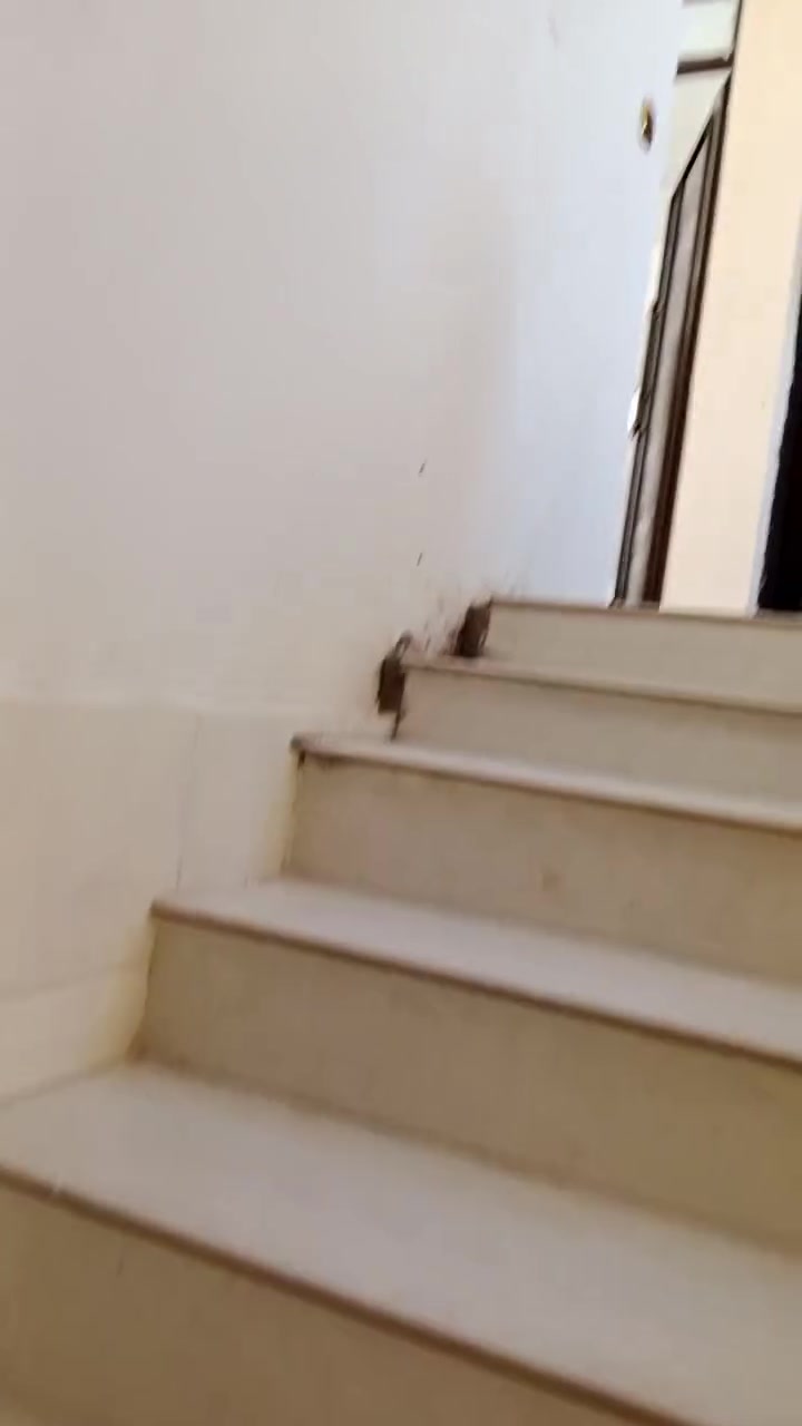 بيت مساحته 110 واجهه 10 نزال 11 بناء2026 قرب شارع العام قرب مندي الجزيرة قطاع 18 حي الأكراد قاطين درجه اولى البيت بأسمي رقم الهاتف ***********
