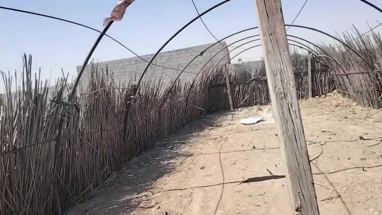 مقوسات للبيع العدد 17قوس
يرهم مال جاخور مال عجول مال غنم مال دجاج 

مال زراعه كلشي يرهم

كلشي يرهم سعره 450وبي مجال مكانه البصره الزبير 

***********  $$$$  ***********
