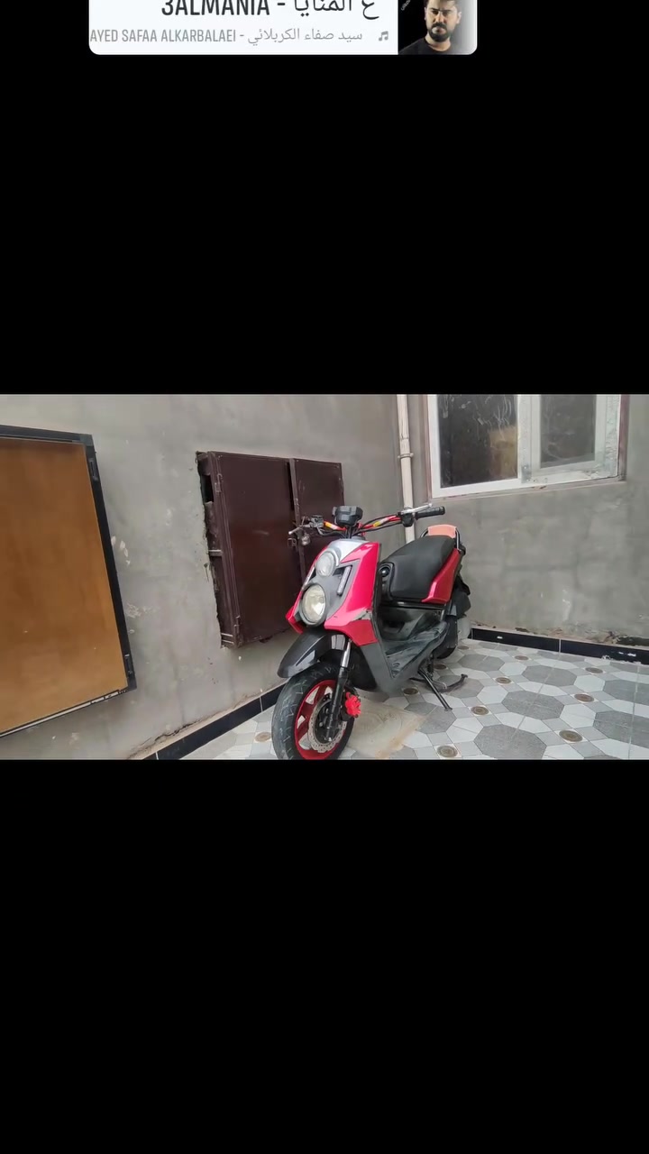 سكنس جبلي • مكفوله • ما ناقصه