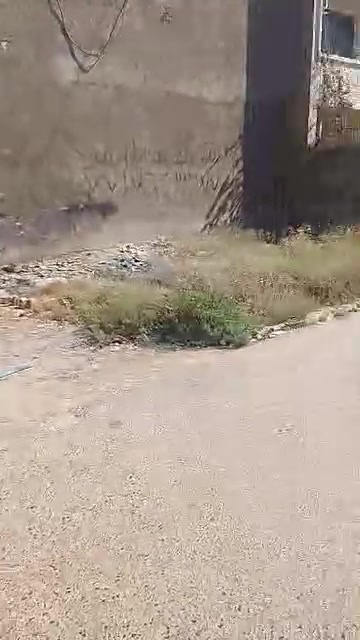السلام عليكم قطعه ارض للبيع العدل الاول المساحه 50 متر على شارع العدل الاول الوجه 10 متر ونزلها على الفرع 5 م قطعه ركن كلش حلو ه
***********
