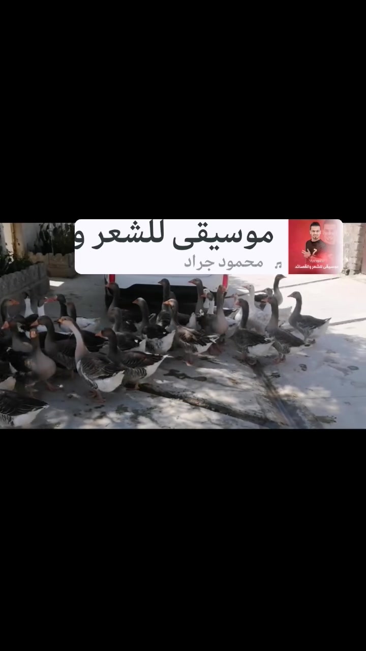 للبيع