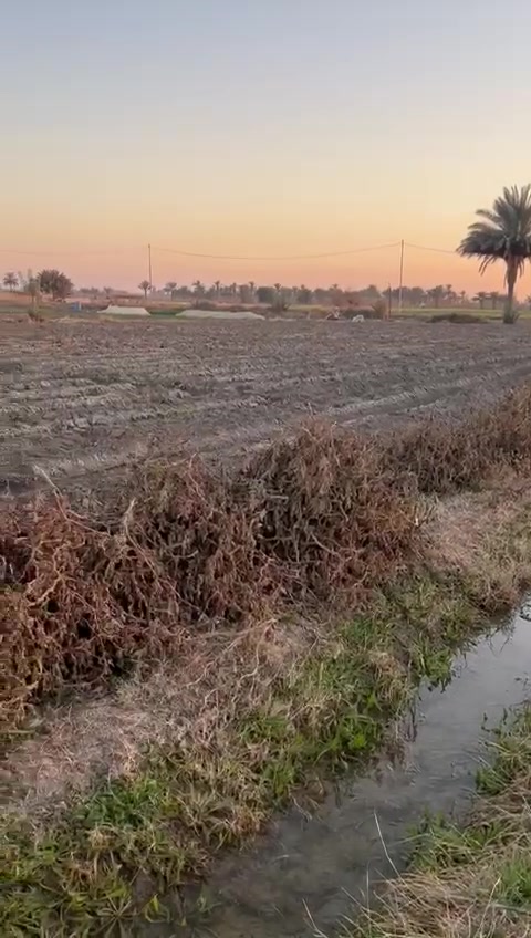 12دونم طابو زراعي سند25 على طابو المحموديه زنجيل على شارعين تباع كامله او تقطيع حسب الطلب اقل شي دونم *********** واتساب متوفر
