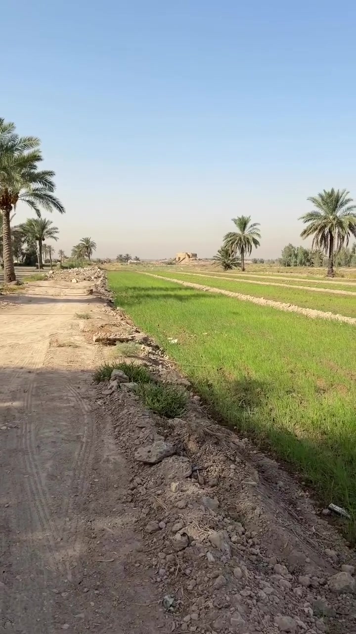 ابراهيم الخليل • دونمين • طابو زراعي