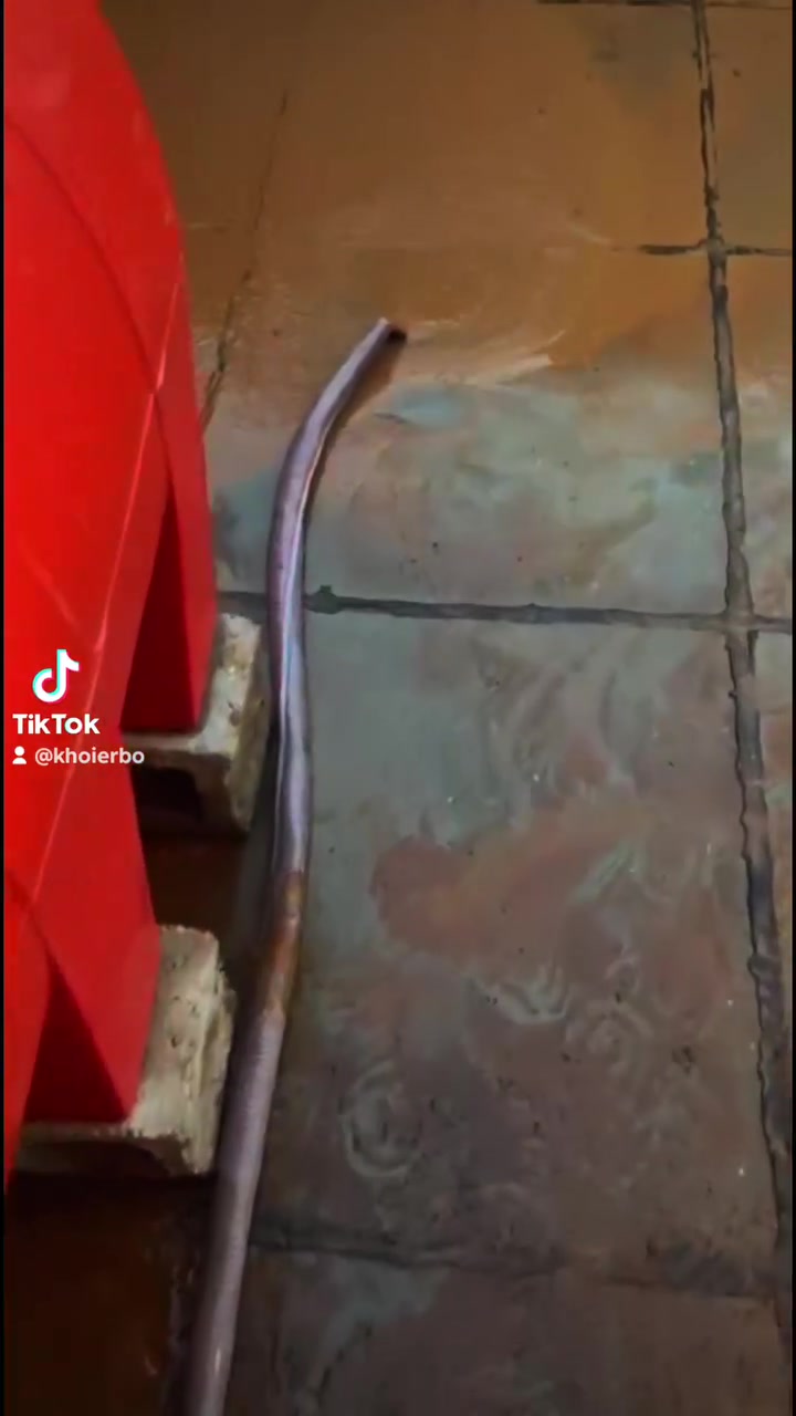 تنظيف خزانات • تطهير وتعقيم • نقاء