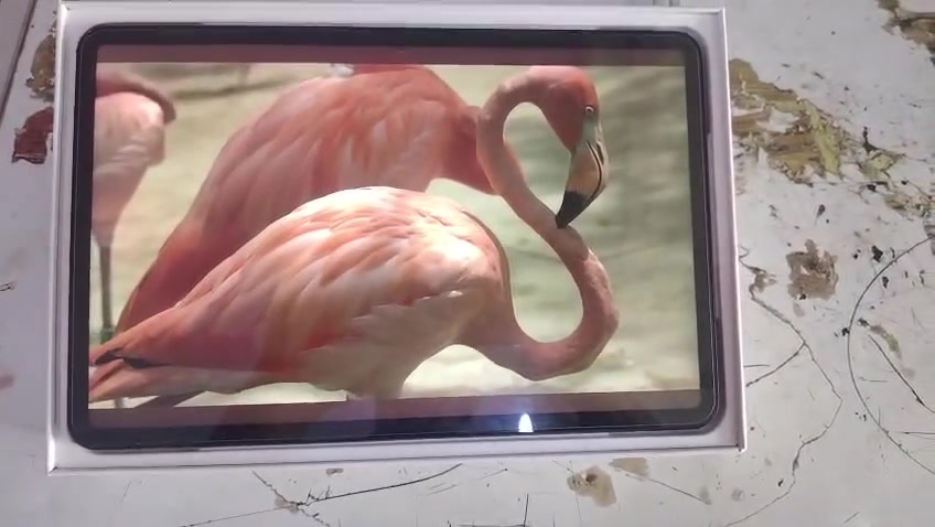 السلام عليكم.. جهاز شاومي باد 6 (Xiaomi Pad 6) مستعمل بحالة الوكالة للبيع 🖥️✨
الجهاز نظيف جداً جداً (أخو الجديد) وما بيه أي شخط أو عيب، 
واستخدامه راقي وخفيف. ممتاز جداً للألعاب الثقيلة (مثل ببجي بفريمات عالية وسلسة)، 
وللدراسة والمشاهدة.💡
 أبرز مواصفات الجهاز الفنية:الذاكرة الداخلية: 256 جيجابايت (UFS 3.1 سريعة جداً).الذاكرة العشوائية (الرام): 8 جيجابايت +4جيجابايت
المعالج: Snapdragon 870 القوي من كوالكوم (أداء طيارة بالألعاب والتصفح بدون حماوة)
.الشاشة: بحجم 11 إنش بدقة عالية 2.8K وبمعدل تحديث 144Hz (سلاسة فائقة باللمس)
.البطارية: ضخمة بحجم 8840 مللي أمبير تدعم الشحن السريع بقدرة 33 واط (تطول وياك يوم كامل استخدام مكثف).
الصوت: 4 سماعات ستيريو مجسمة بدعم Dolby Atmos.📦
 الملحقات المتوفرة مع الجهاز:
الكارتونة الأصلية كاملة.الشاحن الأصلي السريع مع الواير ماله.
هدية: الكفر الأصلي ماله لحماية الجهاز بالكامل.
📍 المكان: الناصرية - قضاء الفهود.💵
  

السعر راسلني عل الرقم فقط واتساب *********** اوتدلل يابه 👍🏻🩵
