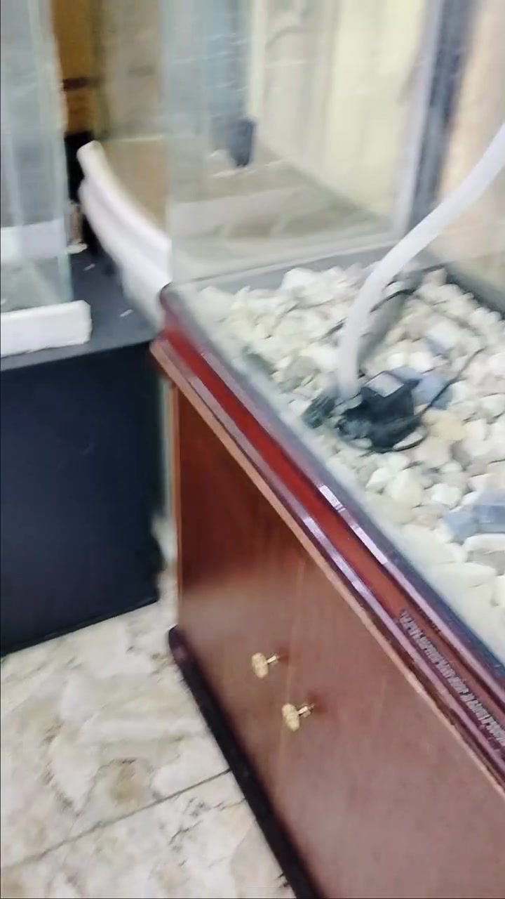 احواض • بغداد الحسينيه • توصيل