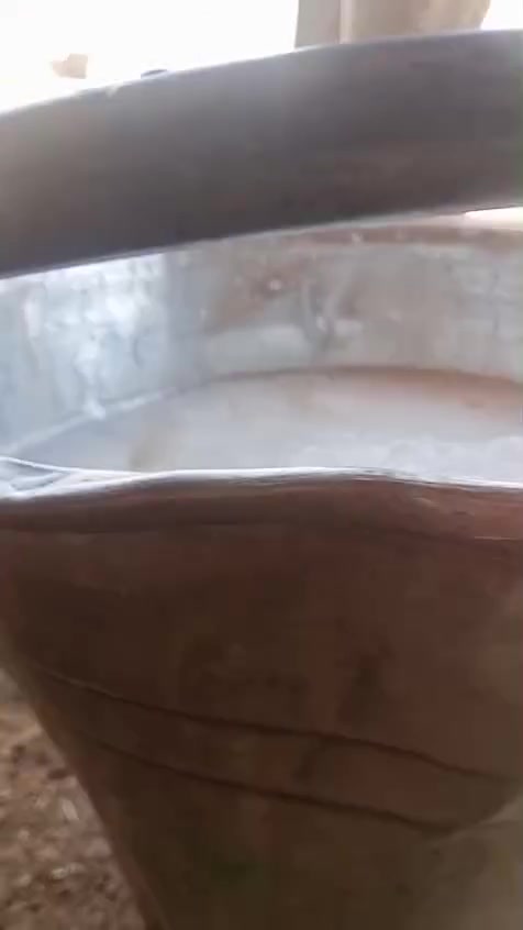 السلام عليكم 
اخوان جنايه يوجد بقره حليب
وراها حوليه سمتال الاصلي 
رقم واحد دابه هولنديه 
شرط حليب وشرط دسامه 
تحلب من 8 كيلوات الئ 10 كيلوات
مكفله كافت شروط جني 
وشرط بدون حيان اذا محينه مرجوعه 🥛
وين اهل نضيف دابه بخت جناي 
وين عشاك فول فول 
***********
شرقاط قريه شكرا 
يوجد توصيل فوري بعض مناطق
