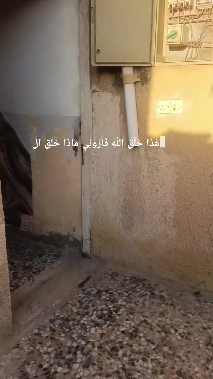 بيت للايجار العبيدي نهاية شهداء لثالثه قرب  حي الرحمه قرب مدرسه عمر
*********** للاستفسار
