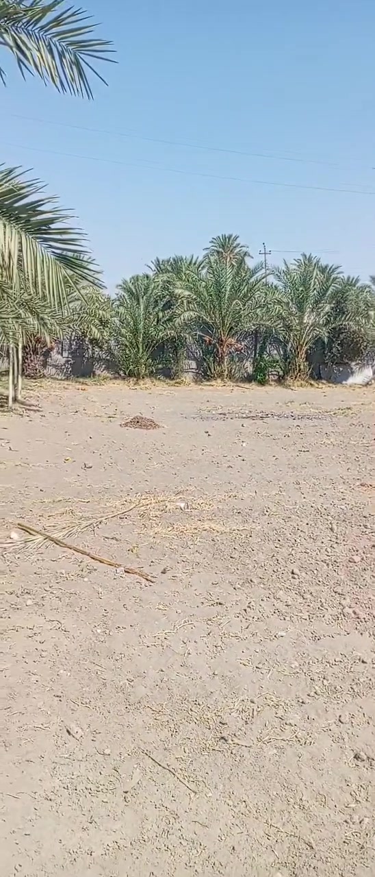 بستان • ١١٠٠م • الصوفيه الحلابسه