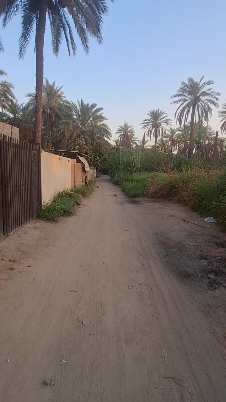 البيع في كربلاء منطقه الحافظ المساحه1000متر مع هيكل
***********
***********
