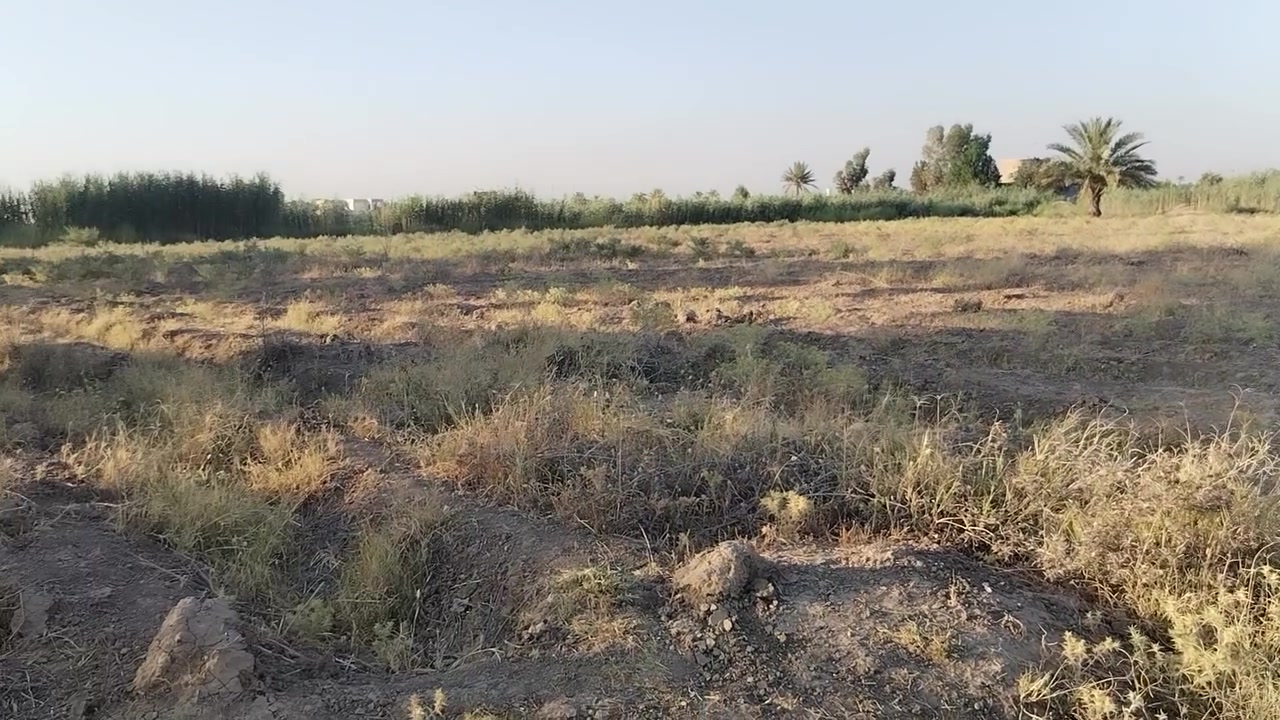 سلام عليكم قطعة أرض زراعي سند 35مساحة دونم و نص للبيع الطيفيه حي القادسية قرب مدرسة الاصاله للبنين للأستفسار ا*********** ***********
