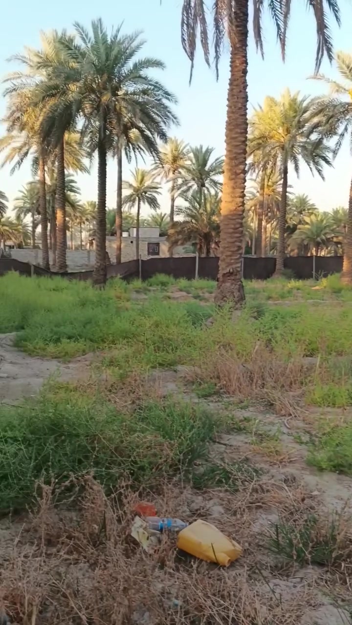 اسلام عليكم اخوان الف و500متر طابو زراعي تحويل مباشر المكان بابل الحله قرب سيطرة الاثار السعر 87وبيه مجال هذا رقمي للتواصل ***********
