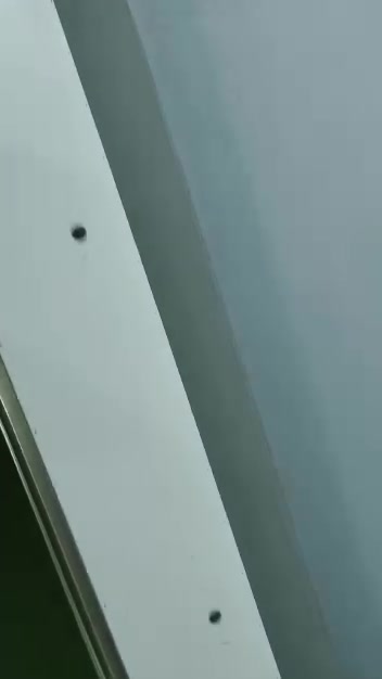 ميوزه • ثنين • شركة Al alwys