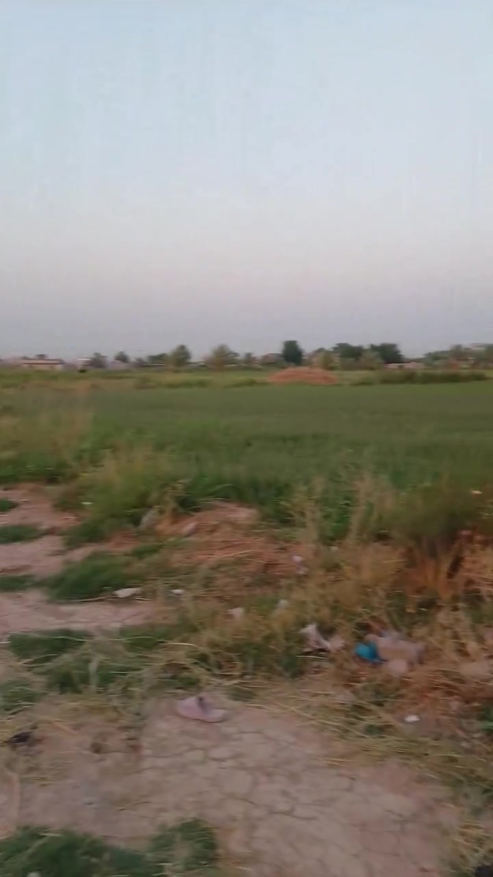 بيت + ثلاث مشتملات كلهن سيراميك كهرباء مي تبليط جاهزات للسكن في منطقة اليوسفيه قرب مركز تدرب مرقمات كلهن من البلديه سعر مناسب ‏‪***********‬‏
