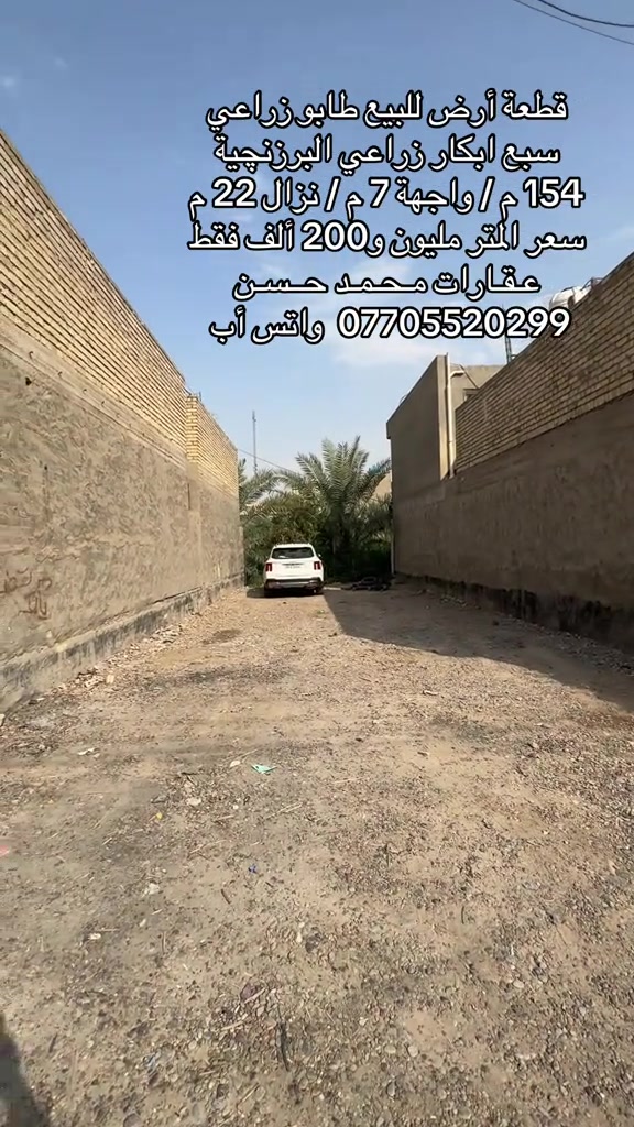 سبع ابكار البرزنچية • ١٥٤م • سند ٢٥