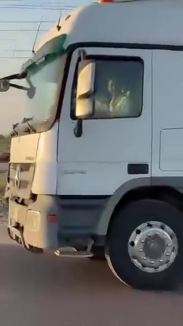 لودر • نقل لجميع المحافظات