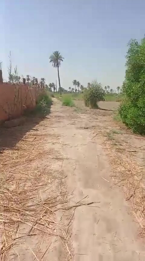 دونم للبيع مربع المساحه 2.500 مناسب وجوه السوك خدماته كامله كهرباء مجاري مي اساله وطريقه حلو وعريض مكانه كربلاء طوريج منطقه ام طوب استفسار اكثر ***********
دونم للبيع مربع المساحه 2.500 مناسب وجوه السوك خدماته كامله كهرباء مجاري مي اساله وطريقه حلو وعريض مكانه كربلاء طوريج منطقه ام طوب استفسار اكثر ***********
