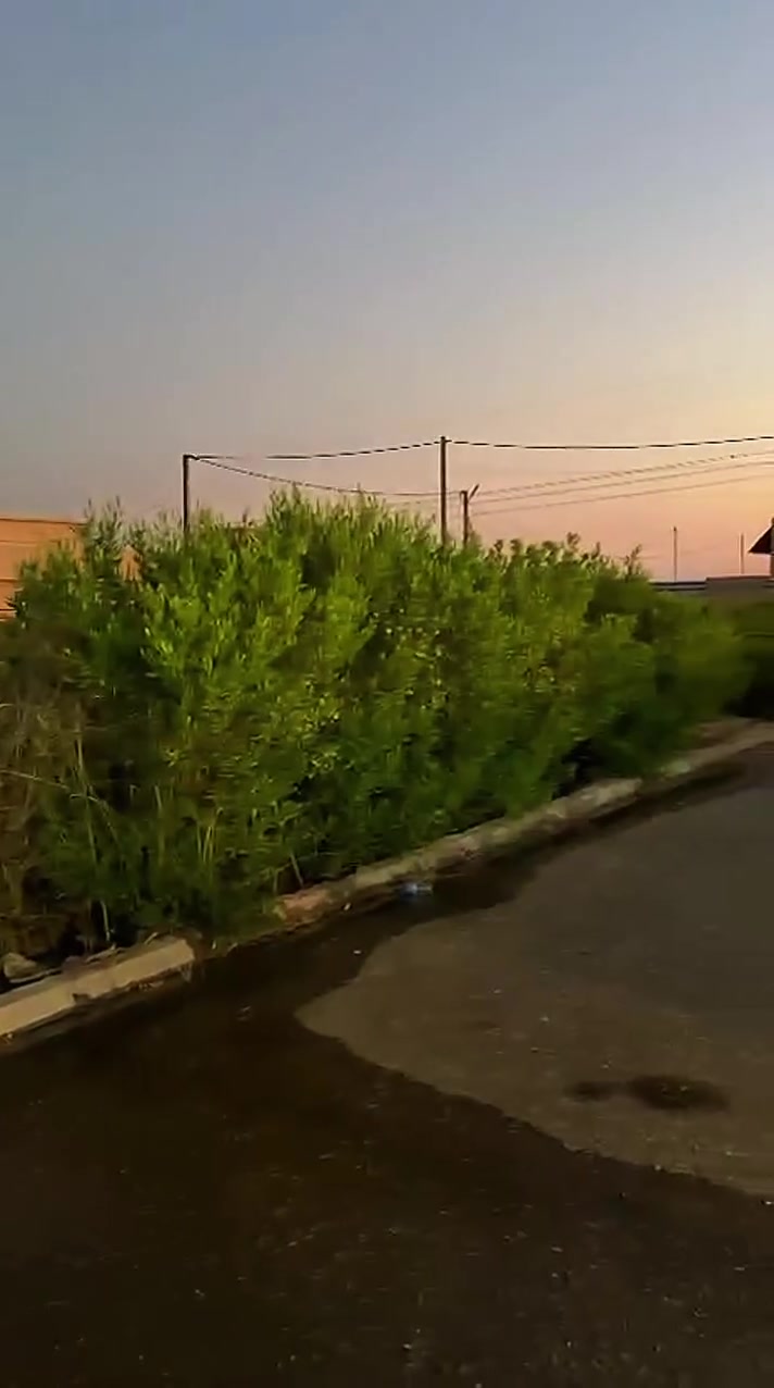 السلام وعليكم #دارللبيع  للبيع
عرض مميز
😍في مجمع دريم. ستي 😍
😊خلف التربية بنات 😊
😱المساحة 200 متر 😱

موقع مميز گدام حديقة  واجهيته عل بغداد البيت جاهز للسكن مصبوغ اشتايكر ماستك جديد
البيت 2نوم وحمام ومناور عدد 2 وصاله ومطبخ وستقبال وحديقه  علماً ان الدار مسدد كامل للشركه 
للاستفسار اكثر اتصل على ***********
