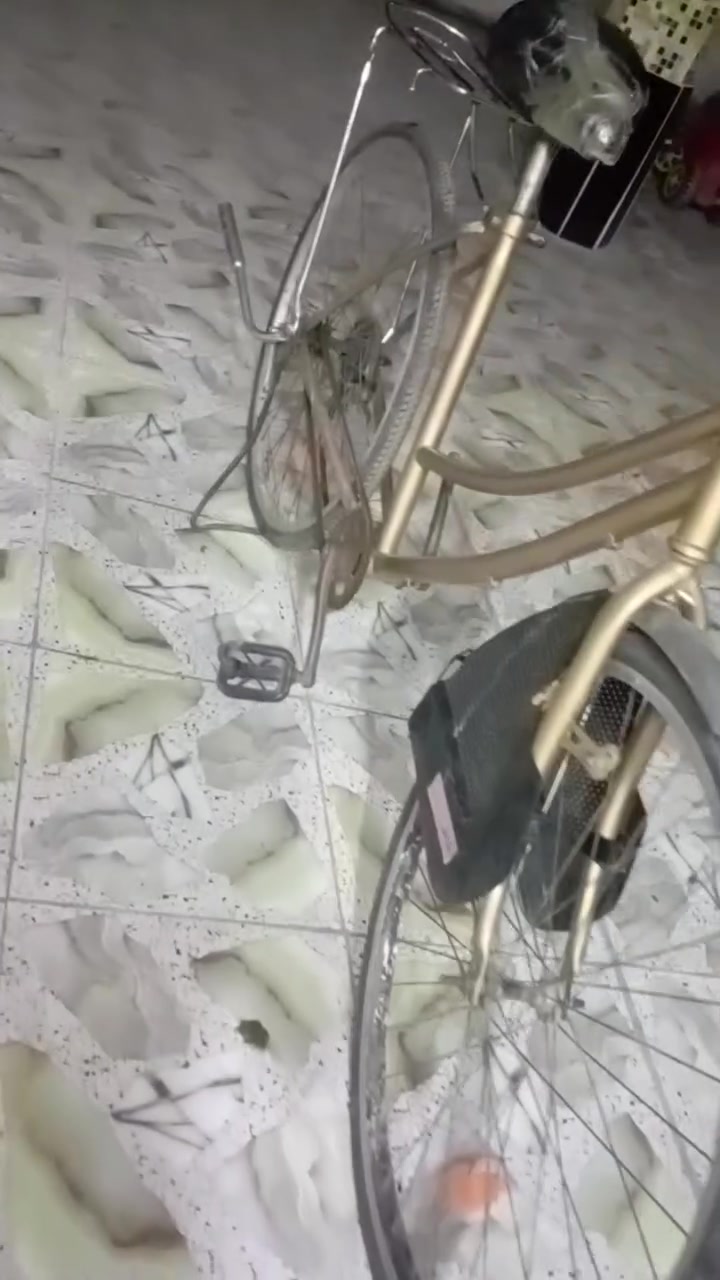 بايسكل • ذهبي • الهاشميه الجربوعيه