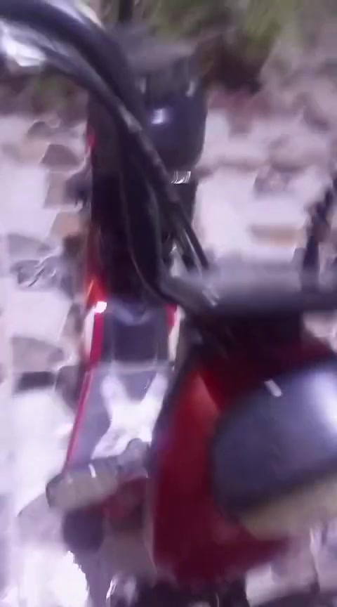 دراجة شحن • ٢٠٢٤ • بدون بطاريات