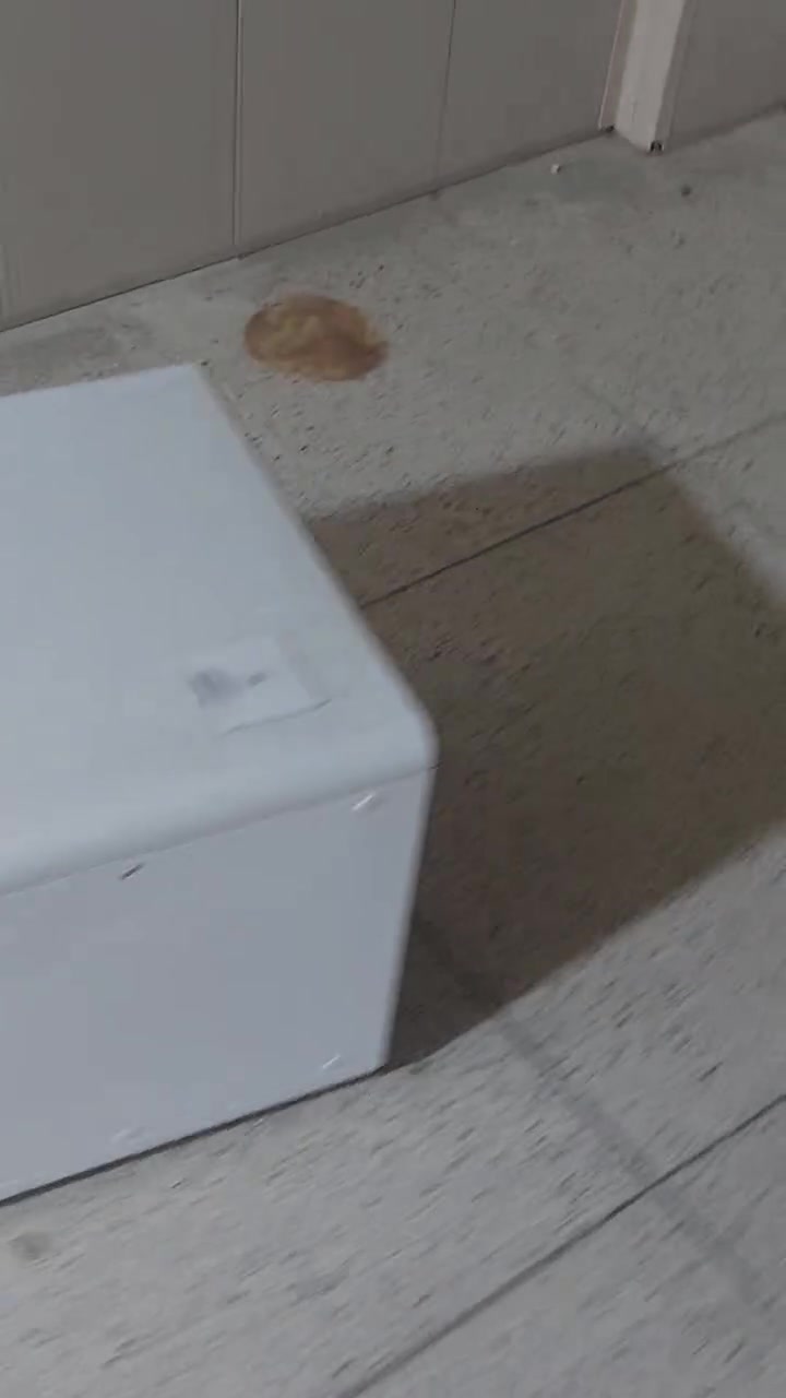 اجهزة مختبر • سونار • مندري