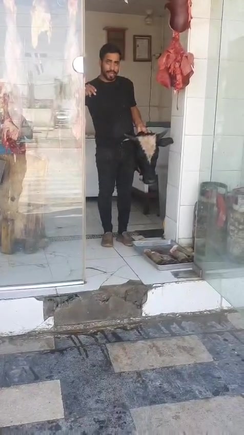 🥩🔥 لحوم ميري… اليوم الذبح مستمر! 🔥🥩
من الصبح ذبحنا عجلين 🐄🐄
وهسا نكمل وياكم بـ العجل الثالث 🐄🔥
🥩 لحم عراقي طازج من ذبح اليوم
✨ تجهيز ونوعية مختارة بعناية
📦 تجهيز للمطاعم والوكالات والكميات حسب الطلب
💰 أسعار مناسبة ومنافسة
🔥 لحم طازج، جودة عالية وطعم أصيل
إذا تريد لحم عراقي طازج من ذبح اليوم وبسعر مناسب،
تواصل ويانا وخلي تجهيزك علينا 🤎🥩
📍 الديوانية
📞 للطلب والتجهيز – السيد أمير:
***********
🥩 لحوم ميري… الذبح اليوم، والجودة توصلكم طازجة. ❤️🔥

