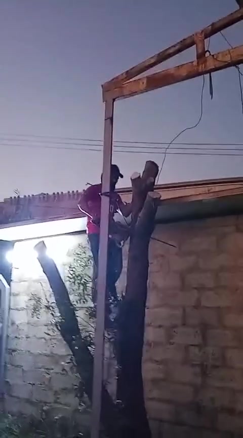 تعديل حدائق وقص الاشجار عل رقم *********** وبيه وستاب أو تصل
