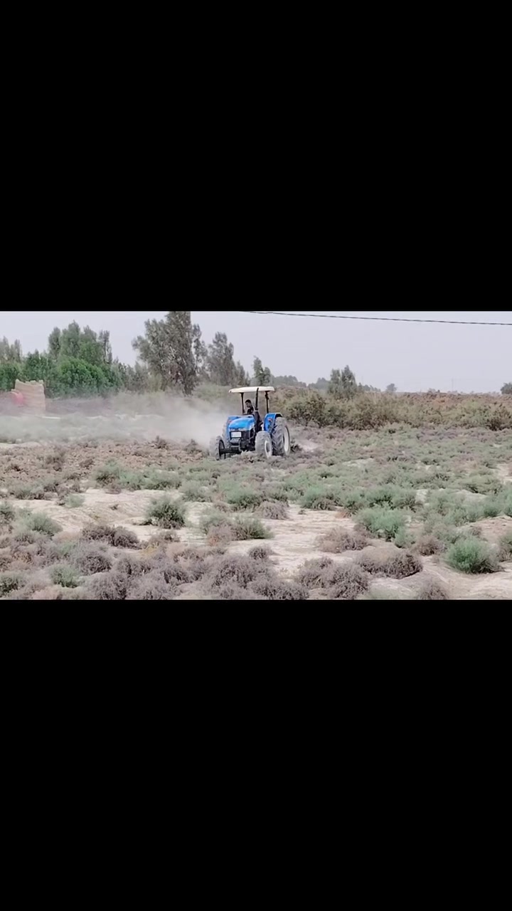 نيهولند • حجم ٨٠ • موديل ١٥