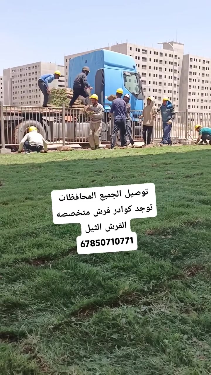 ديالى • ثيل طبيعي • فرش ثيل