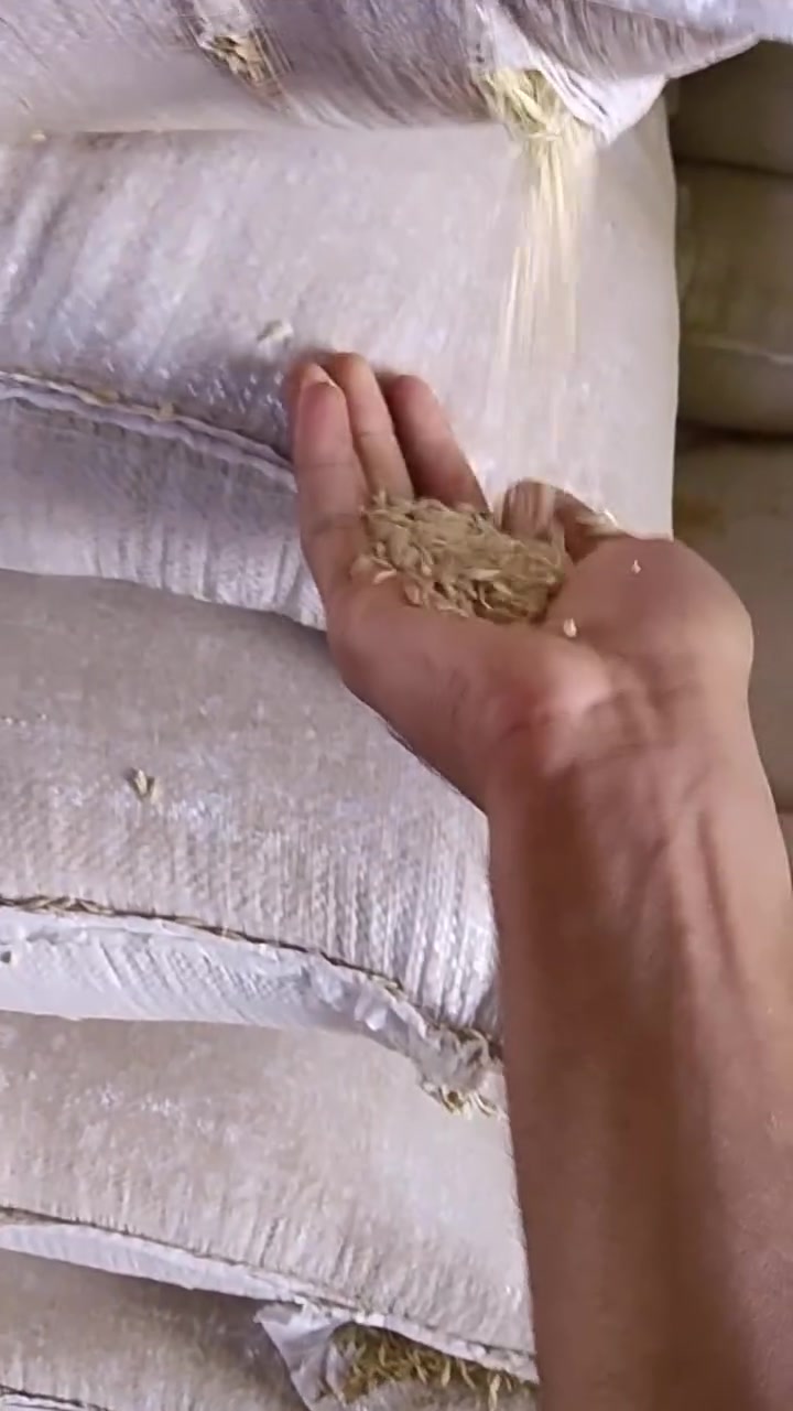 شعير عراقي ابيض بذور نضافه كدامكم كميه 20طن مكاني واسط صويره يوجد توصيل لجميع المحافظات سعر 650... ***********
