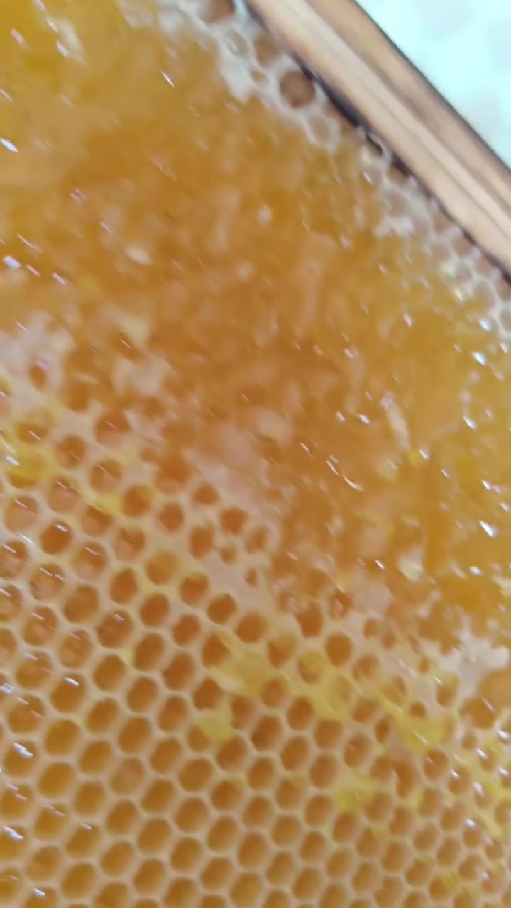 السلام عليكم 
يتوفر عسل🍯 مرير شوكيات وعسل🍯 كالبتوس وحمضيات العسل🍯 شرط الفحص 
#المريض وحالتو تعبانا ننطي في سبيل الله 🫴
👇#معلومات بسيطة 
 عسل🫠🍯 القصير المرير عسل 🫠🍯القصير المرير (ويُعرف أيضاً باسم عسل المرار أو عسل الدردار) هو نوع نادر من العسل البري الذي ينتجه النحل من رحيق الأزهار البرية. ويتميز بلونه الداكن وطعمه اللاذع أو المر قليلاً، مما يجعله كنزاً علاجياً وغذائياً للعديد من الحالات الصحية.إليك أبرز فوائده الصحية لجسمك:دعم صحة الكبد: يُعتبر صديقاً للكبد؛ حيث يساعد في حمايته، تجديد خلاياه، تخفيف أعراض تشمع الكبد، وتقليل الأضرار التي تلحق به جراء العلاج الكيميائي.تنظيم مستويات السكر: يُعد مناسباً لمرضى السكري من النوع الثاني لأنه يخفف من مقاومة الأنسولين، لاحتوائه طبيعياً على مواد تشبه الإنسولين.تحسين الهضم: يعالج العديد من اضطرابات الجهاز الهضمي، ويساعد في تطهير الأمعاء، تهدئة قرحة المعدة، وتخفيف التهابات القولون.صحة القلب والأوعية: يساهم بشكل فعال في تخفيف مستويات الكوليسترول الضار في الدم.تعزيز المناعة وعلاج الالتهابات: يحتوي على مضادات أكسدة وميكروبات قوية تكبح نمو بعض الخلايا السرطانية، كما يُستخدم تقليدياً في علاج مشاكل الجلد مثل الأكزيما والصدفية.علاج السعال ومشاكل الصدر: يعتبر طارداً ممتازاً للبلغم، ويُستفاد منه في علاج السعال المزمن والتهابات الحلق.فقر الدم: يساعد في التخلص من الأنيميا لاحتوائه على مجموعة من الفيتامينات والمعادن الهامة.طريقة الاستخدام الشائعةلتحقيق أقصى استفادة ممكنة، يُنصح بتناول ملعقة صغيرة منه مذابة في كوب من الماء الدافئ وتناولها يومياً على معدة فارغة
***********
