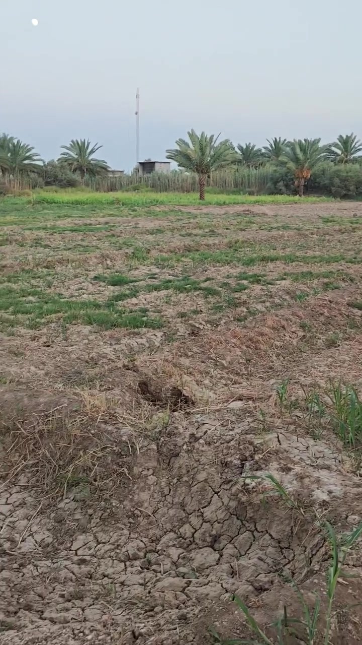#دونم للبيع  جبله حي الزهراء قرب المشروع متوفر جميع 
الخدمات
***********

