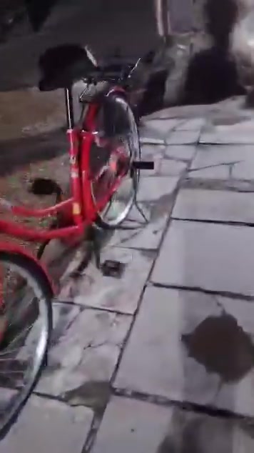 سلام عليكم باسكل للبيع مكان مشخاب ب 160 وبي مجال اتصل ***********
