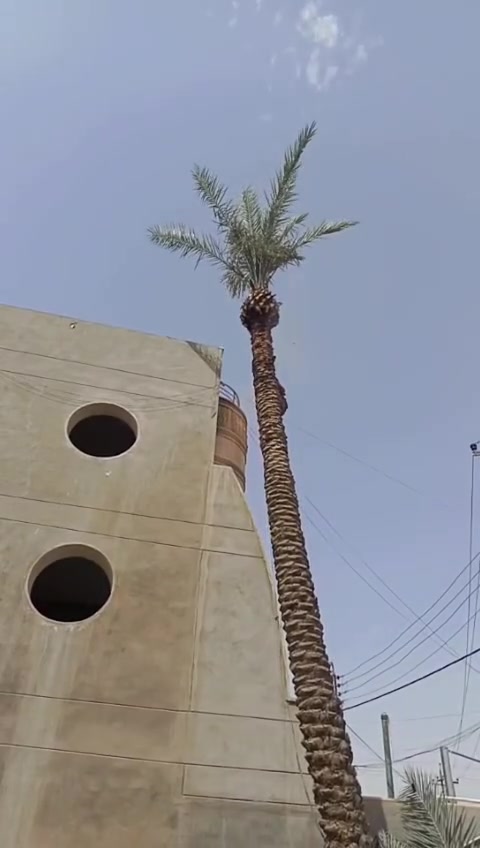 للسفسار اتصل على رقم تالي *********** أو ***********
