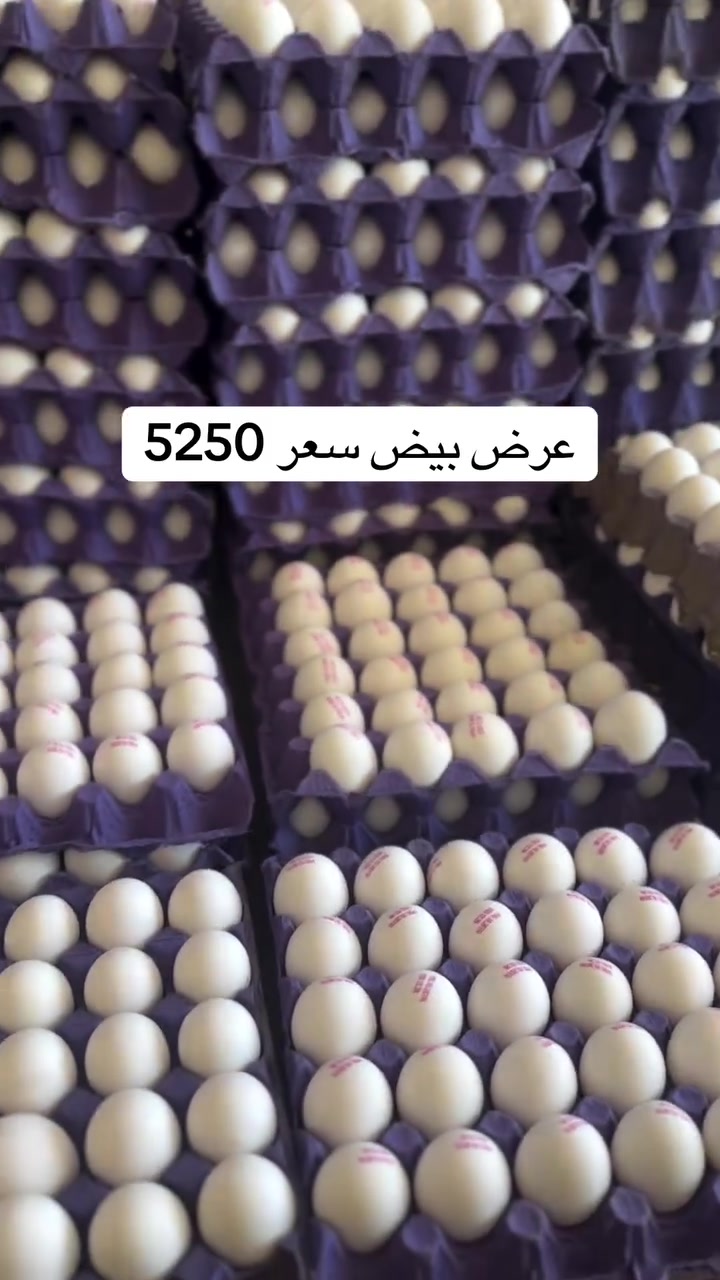 سامراء • ماكو تفاصيل