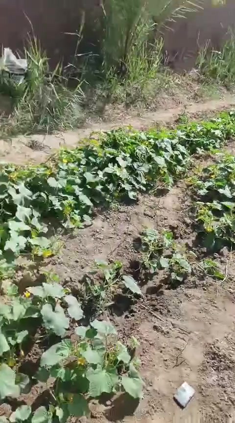 دونم البيع طابو25 يحتوي على دار المساحه 312 بناء حديث 2025استقبال 10/5صاله 10/5مطبخ 5/4غرف نوم 4 صيحات داخليه و خارجيه المكان كربلاء نهر السلام قرب مدرسة دمشق استفسار اتصل على الرقم ***********
